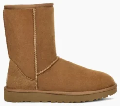 The Ugg Classic Short Boot in Chestnut
